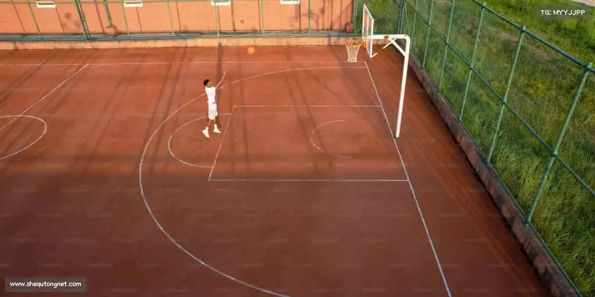 为什么选择我们